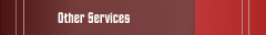 Other Services